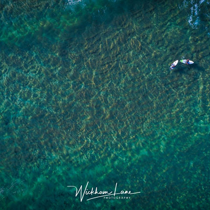 Whale beach surfers