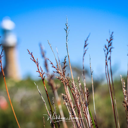 Barrenjoey soft focus