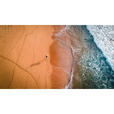 Palm Beach Surfer Shadow - Framed 1200x 760mm 